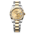 ‏Datejust Oysrer 36mm  ديت جست  أويستر