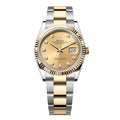 ‏Datejust Oysrer 36mm  ديت جست  أويستر