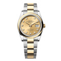‏Datejust Oysrer 36mm  ديت جست  أويستر