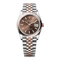 ‏Datejust Oysrer 36mm  ديت جست  أويستر
