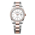 ‏Datejust Oysrer 36mm  ديت جست  أويستر