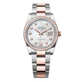 ‏Datejust Oysrer 36mm  ديت جست  أويستر