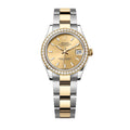 ‏Datejust Oysrer 31mm  ديت جست  أويستر